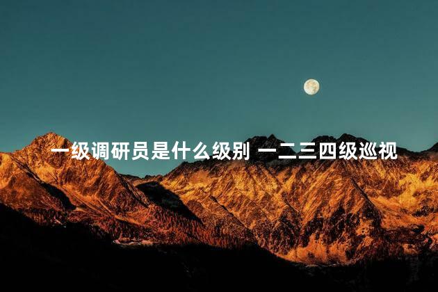 一级调研员是什么级别 一二三四级巡视员对照表
